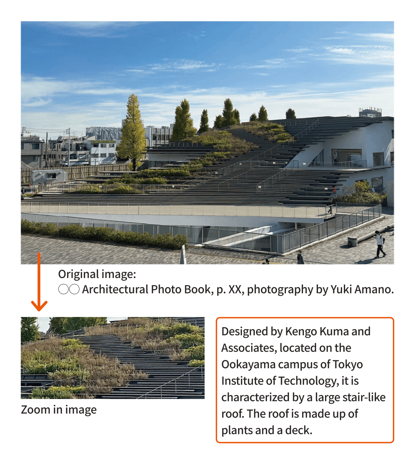 When using an enlarged section of a roof from a photograph of an entire building to explain the architecture, the original photograph of the entire building should be published with the source and photographer credited. Arrows should extend from the original image to the enlarged image of the roof, clearly indicating that it is a citation.